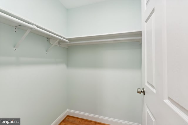 spacious closet with wood-type flooring