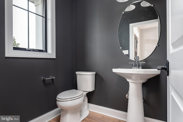 bathroom with wood-type flooring and toilet