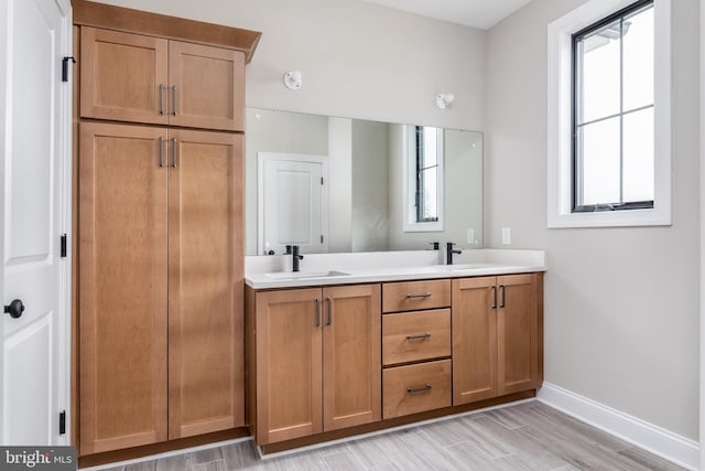 bathroom with vanity and hardwood / wood-style flooring