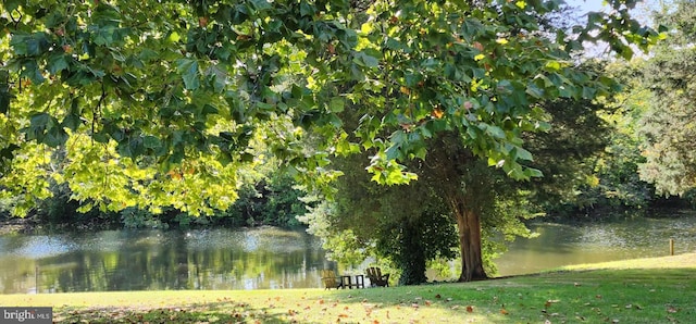 water view