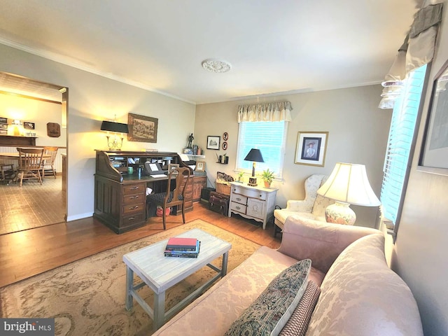 living room featuring crown molding and hardwood / wood-style floors