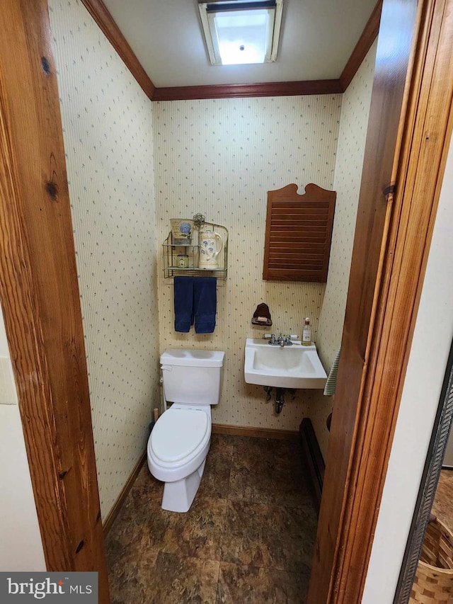 bathroom featuring sink, crown molding, and toilet