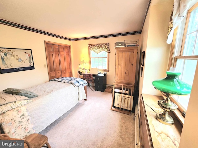 carpeted bedroom with ornamental molding and a closet