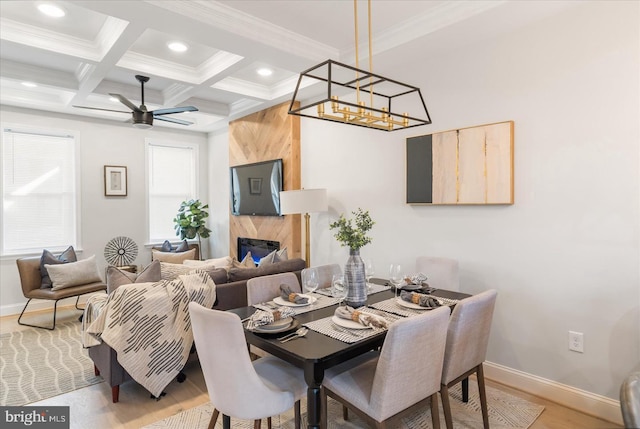 dining area with beamed ceiling, ornamental molding, light hardwood / wood-style flooring, coffered ceiling, and ceiling fan with notable chandelier