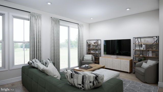 living room with hardwood / wood-style flooring and plenty of natural light