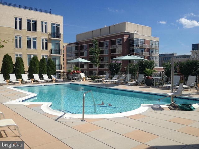 view of pool with a patio