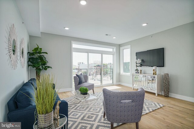 living room with light wood-type flooring