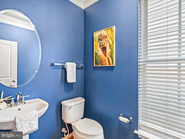 bathroom with ornamental molding, sink, and toilet