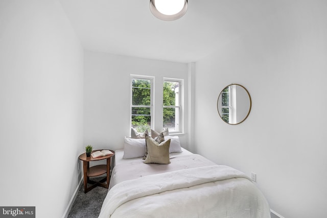 bedroom with carpet floors