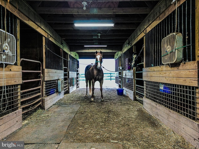 view of horse barn