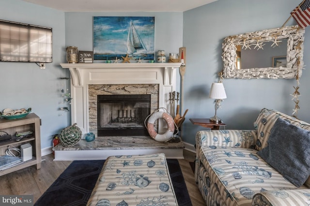 living area featuring hardwood / wood-style flooring and a premium fireplace