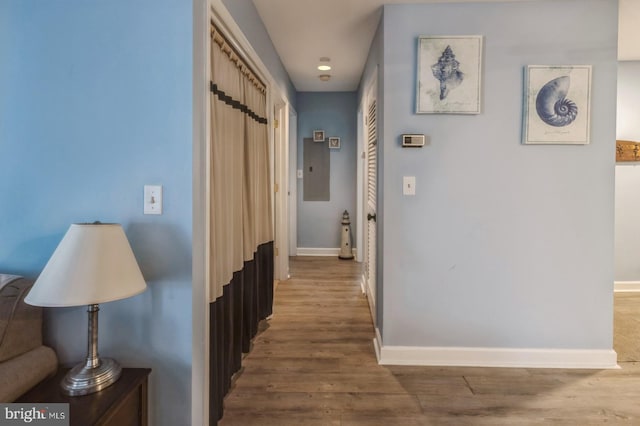 hallway featuring wood-type flooring