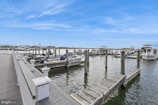 dock area with a water view