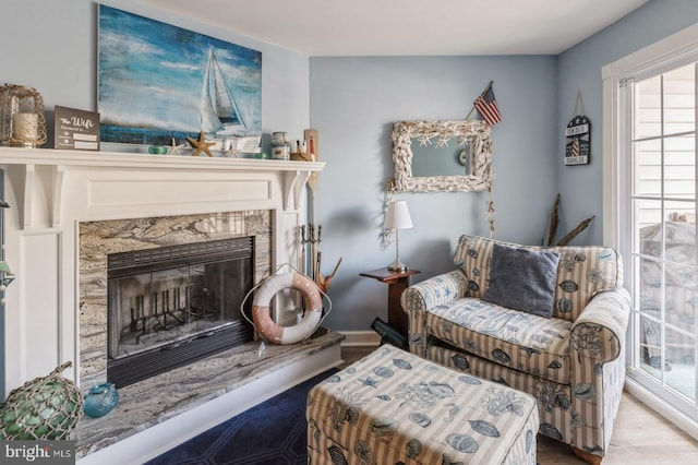 sitting room with light hardwood / wood-style flooring and a fireplace