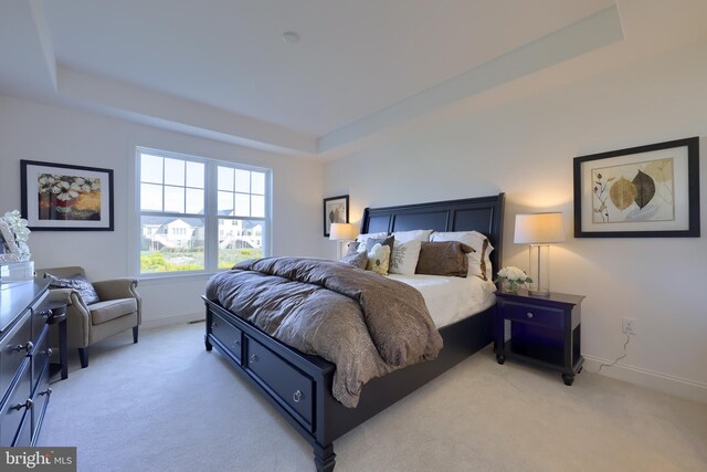 bedroom featuring light colored carpet and a raised ceiling