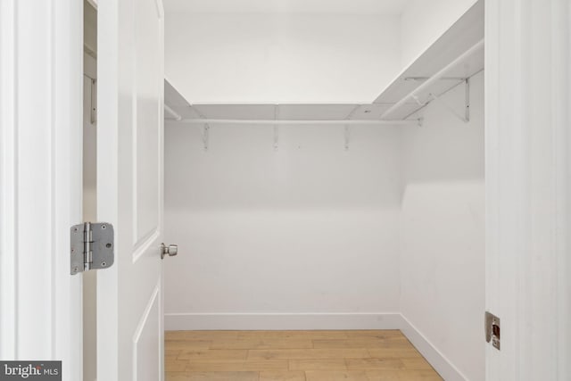 spacious closet featuring hardwood / wood-style flooring