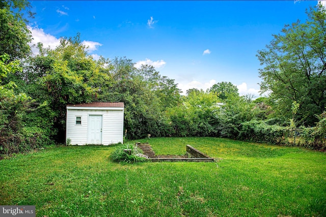 view of yard with a storage shed