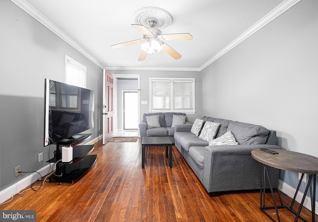 living room featuring ceiling fan, a healthy amount of sunlight, dark hardwood / wood-style flooring, and ornamental molding