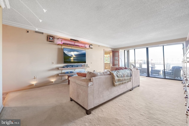 carpeted living room featuring ornamental molding and a textured ceiling