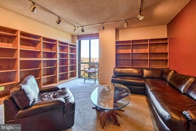 sitting room with track lighting, a textured ceiling, and carpet