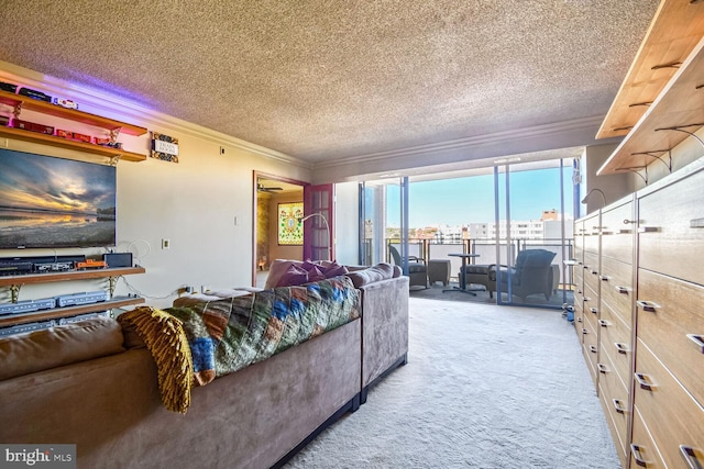 carpeted living room with ornamental molding and a textured ceiling