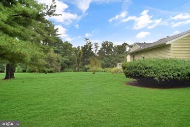 view of grassy yard