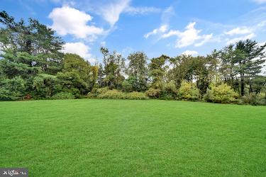 view of grassy yard
