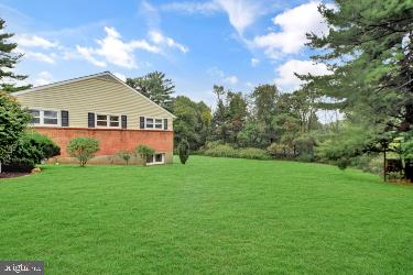 view of grassy yard