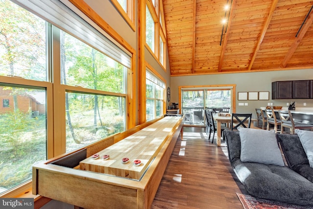 rec room featuring high vaulted ceiling, wood ceiling, beamed ceiling, and dark hardwood / wood-style flooring