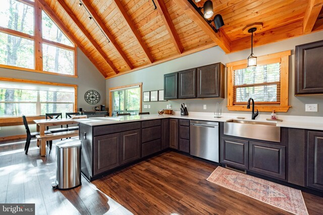 kitchen with decorative light fixtures, stainless steel dishwasher, and plenty of natural light