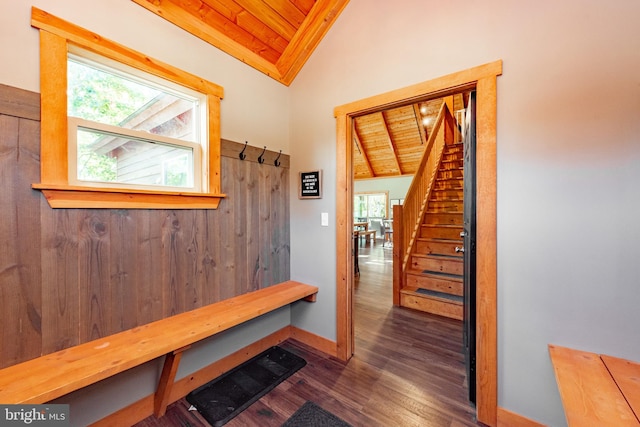 mudroom featuring wood ceiling, lofted ceiling, plenty of natural light, and dark hardwood / wood-style flooring