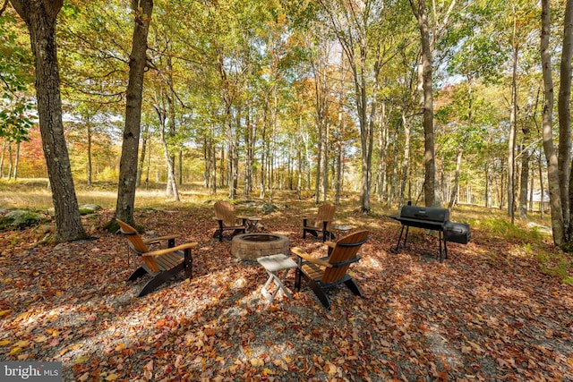 view of yard with an outdoor fire pit