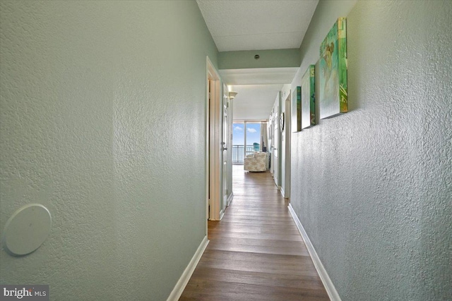 hall with hardwood / wood-style floors