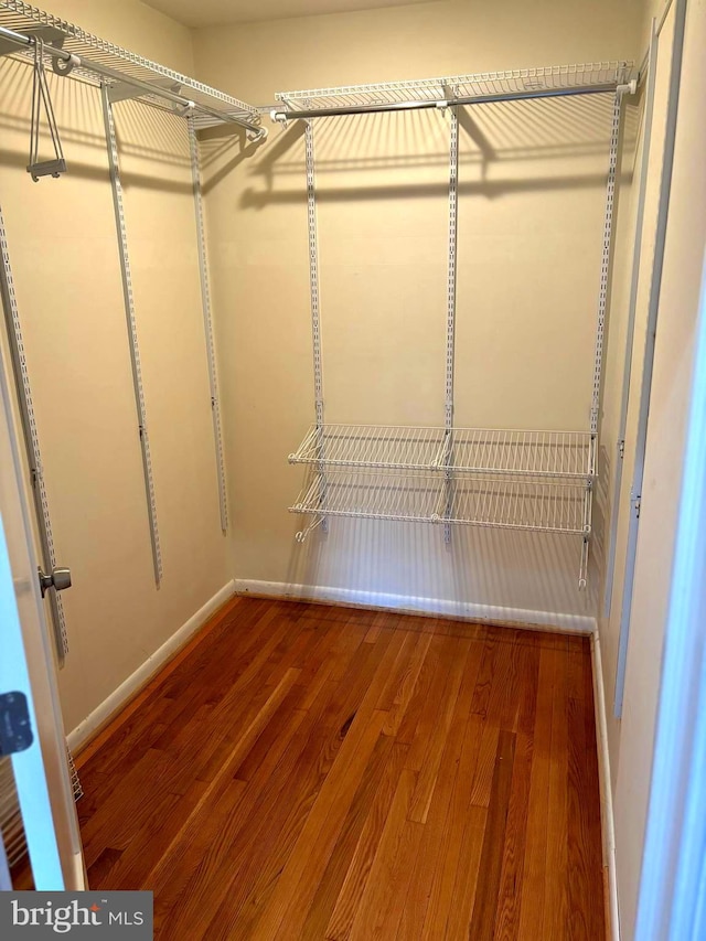 spacious closet with hardwood / wood-style floors