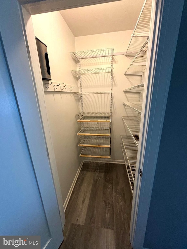 spacious closet featuring dark hardwood / wood-style flooring