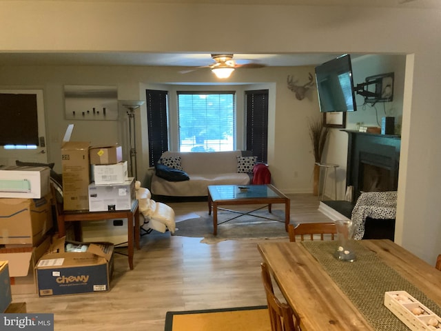 living room featuring light wood-type flooring and ceiling fan