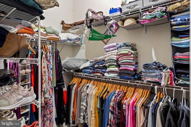 view of spacious closet