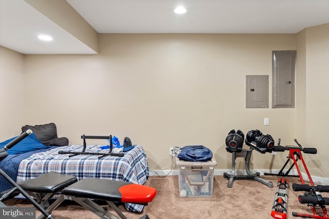 carpeted bedroom featuring electric panel