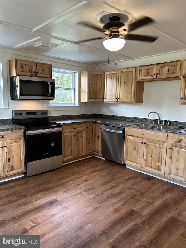 kitchen featuring stainless steel appliances, ceiling fan, dark hardwood / wood-style floors, and sink