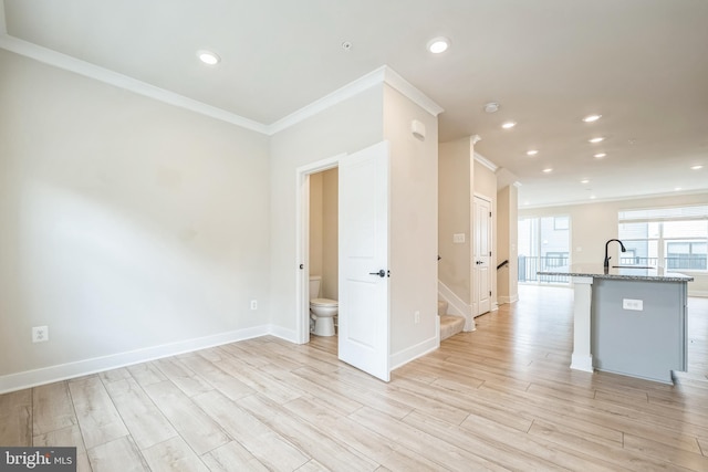 interior space with crown molding, light hardwood / wood-style floors, and sink