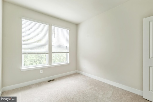 spare room featuring carpet and a wealth of natural light