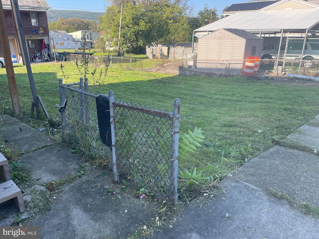 view of yard featuring a shed