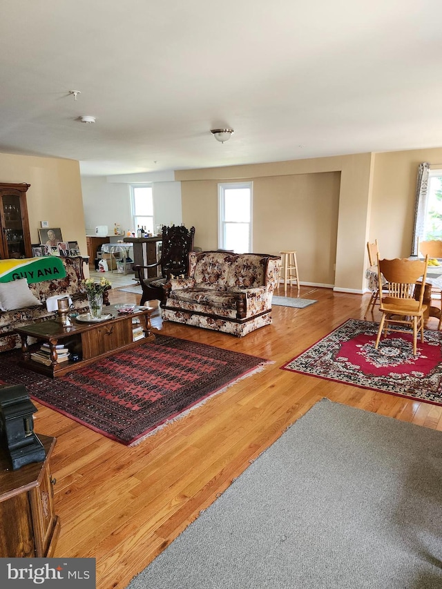 living room with plenty of natural light and hardwood / wood-style floors