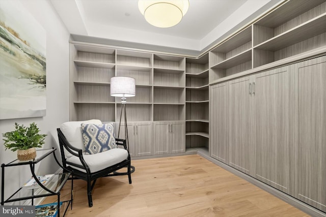 interior space featuring light hardwood / wood-style flooring and a tray ceiling