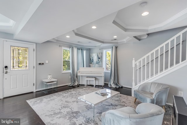 sitting room featuring dark hardwood / wood-style flooring, a raised ceiling, a wealth of natural light, and crown molding