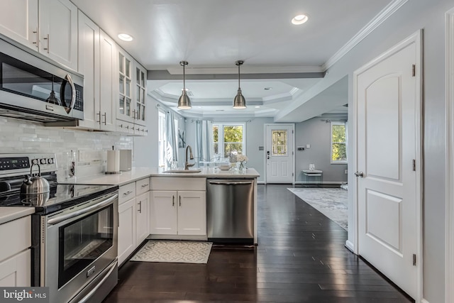 kitchen with dark wood-type flooring, hanging light fixtures, crown molding, appliances with stainless steel finishes, and white cabinetry