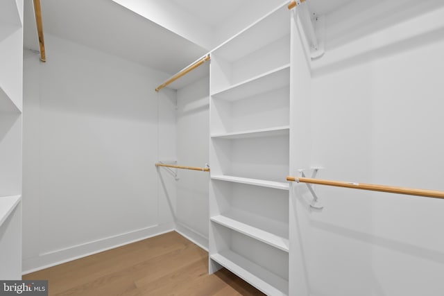 spacious closet with hardwood / wood-style floors