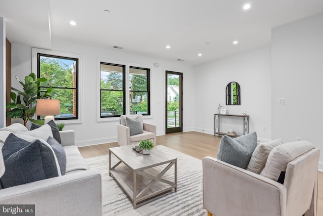 living room with light wood-type flooring and plenty of natural light