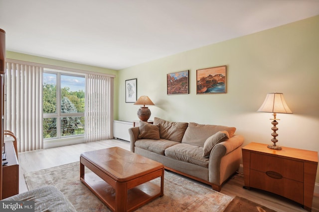 living room with light hardwood / wood-style flooring