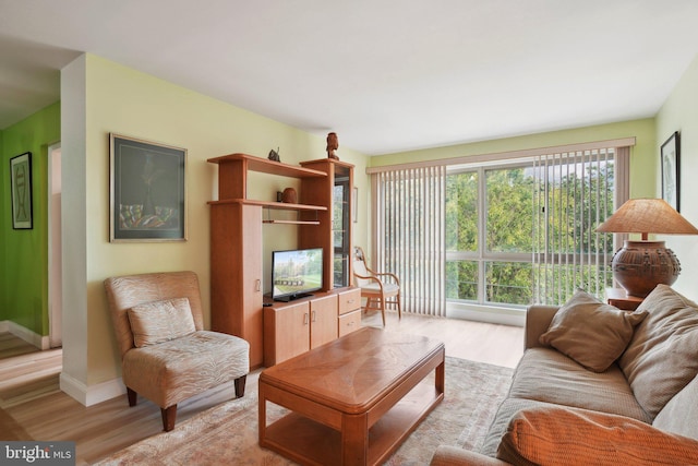 living room featuring light wood-type flooring